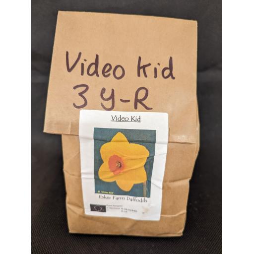 Video Kid 3Y-R -  Half Kilo Bag