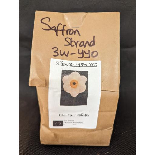Saffron Strand 3W-YYO -  Half Kilo Bag