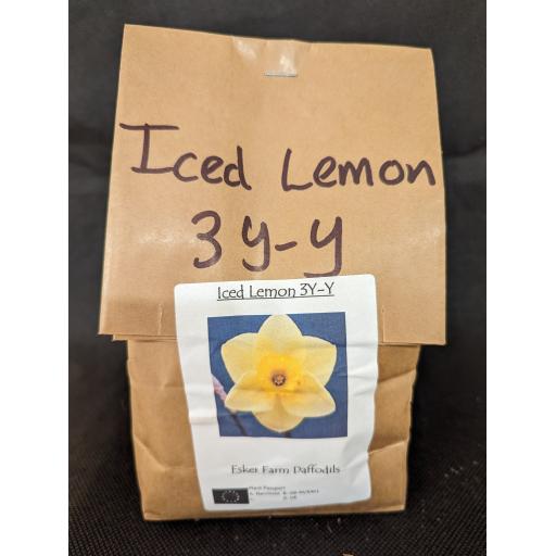 Iced Lemon 3Y-Y -  Half Kilo Bag