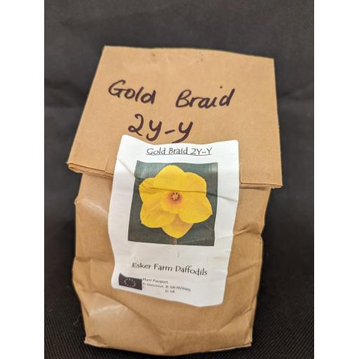 Gold Braid 2Y-Y - Half Kilo Bag