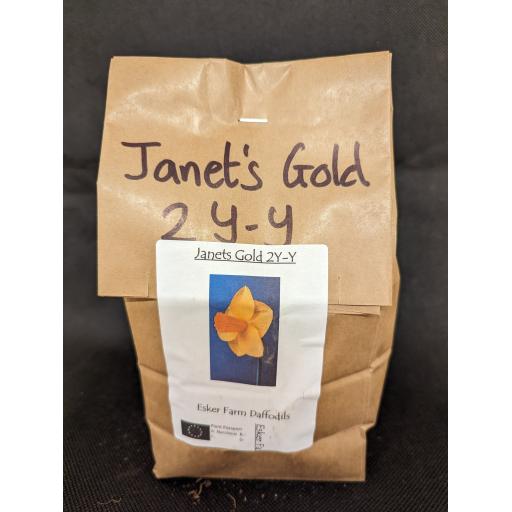 Janet's Gold 2Y-Y - Half Kilo Bag